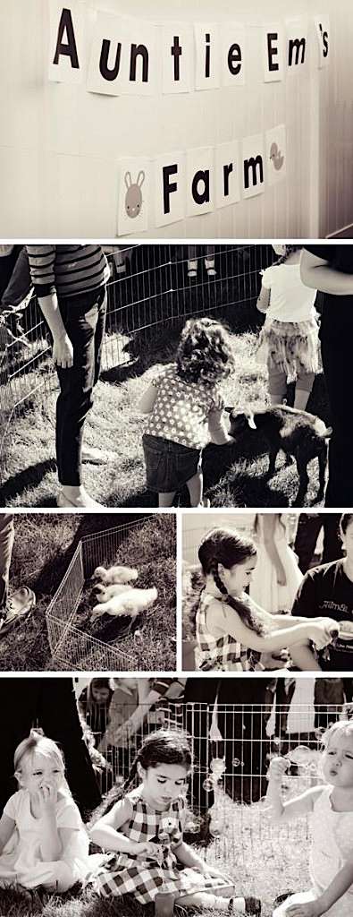 totfudge_oz_farm_464x1200