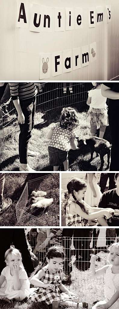 totfudge_oz_farm_600x1553